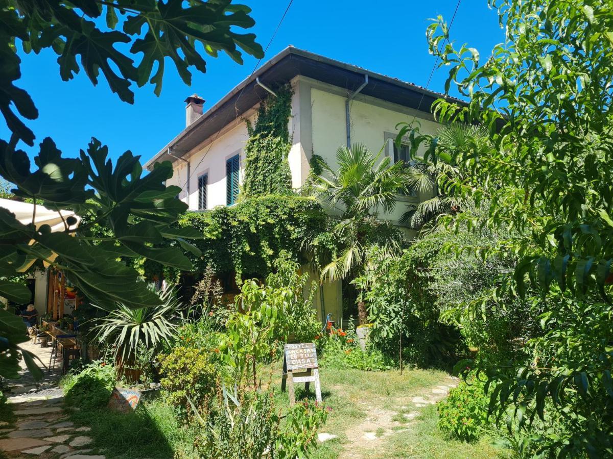 Mi Casa Es Tu Casa - Shkodra Backpackers Hostel Exteriér fotografie